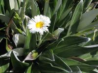 Albums/20060200-New Zealand 2006/20060317-Cook/31